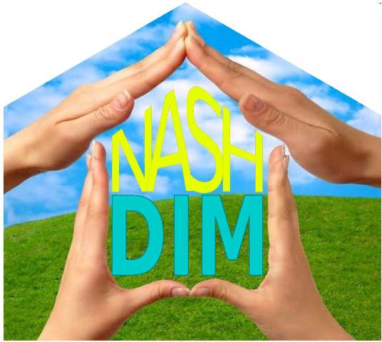 logo del progetto nash dim